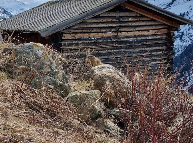 Almhuette Chrisanten Thaya Horská chata *