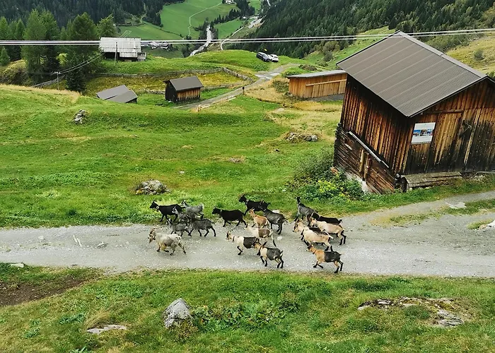 Almhuette Chrisanten Thaya Horská chata